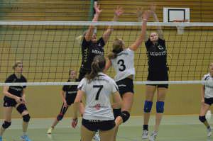 DSC_0379 DSC_0379