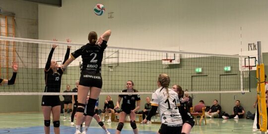 IMG-20251115-WA0028-2